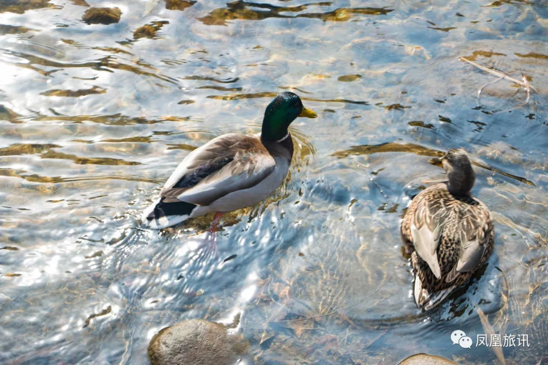 韩国自由行攻略2018在线观看电影,韩国自由行攻略2018在线观看视频