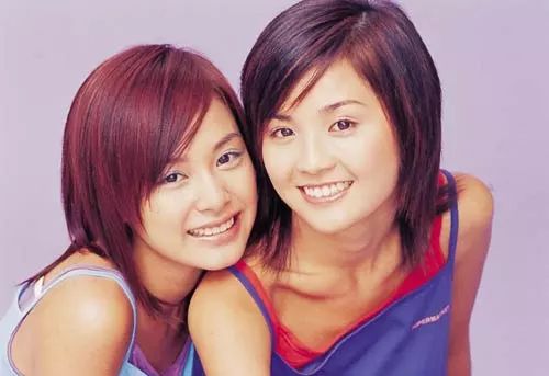 解散的二人女子组合,2017年解散的组合