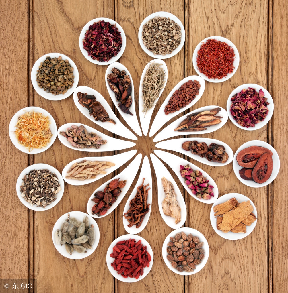 中医讲一味药,中医基本理法方药