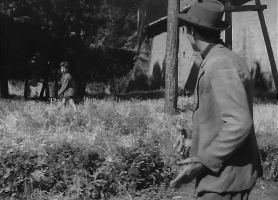 贺岁片,贺岁片新年