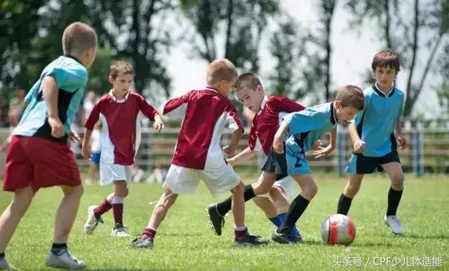 「儿童体能」儿童学习体育的年龄对照,父母必知