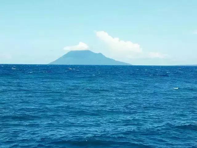 美娜多11月,为你还原真实燕窝