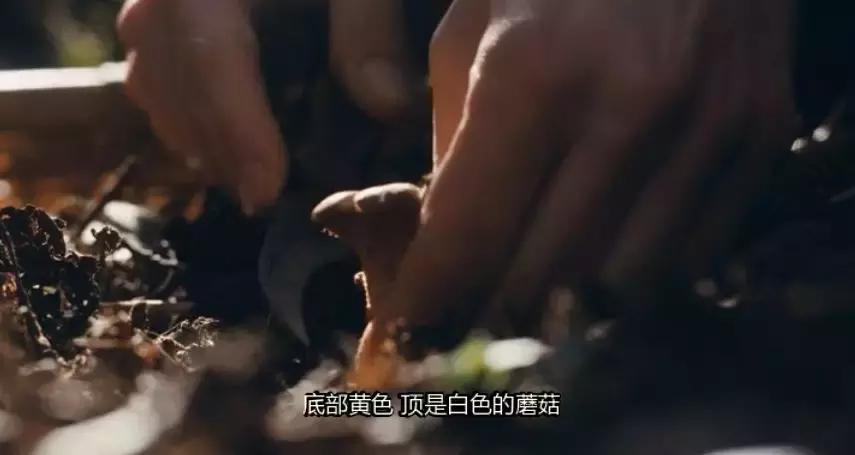 影帝息影三年现状,息影影帝