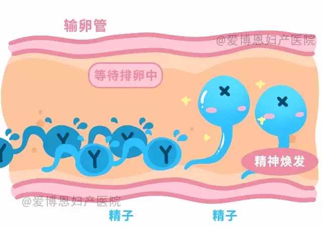 江门市妇幼保健院生孩子怎么样,江门月子中心和足月儿区别