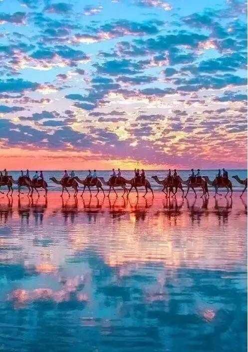 澳洲签证体检后多久签证可以获批,澳洲820签证转801签证需要多久