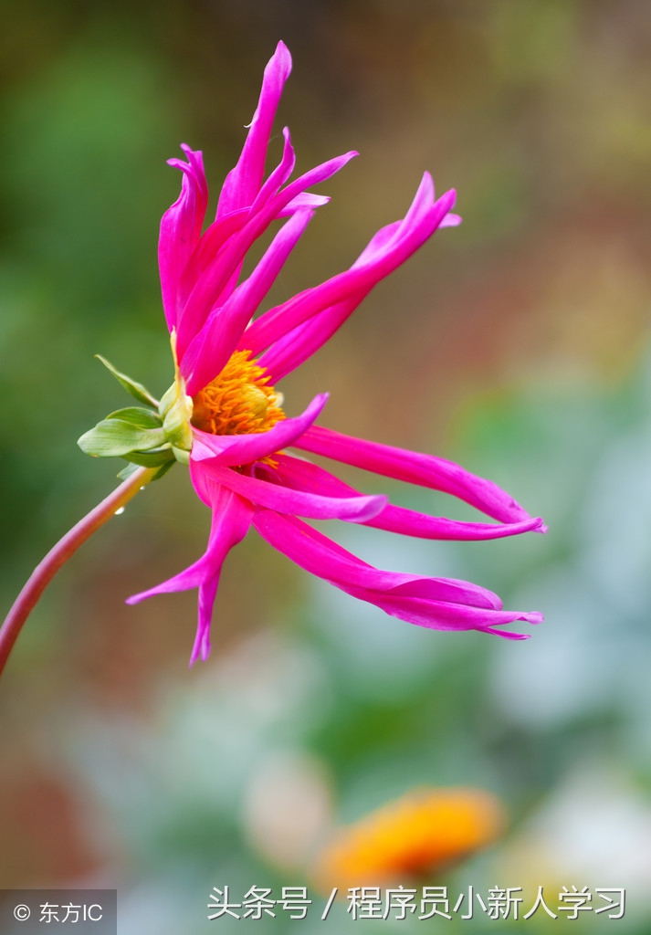 servlet处理请求的方式,servlet异常什么意思