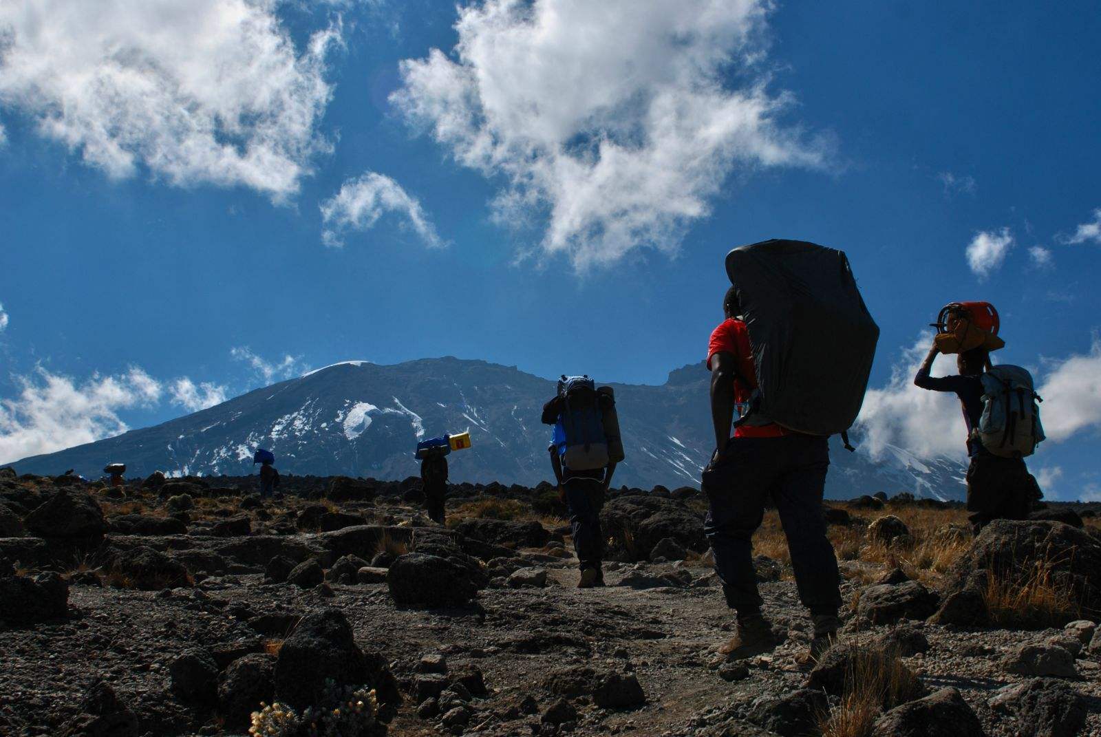 去看乞力马扎罗的雪,乞力马扎罗山的雪深度解读