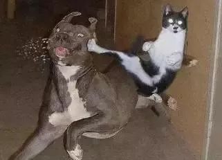 那些你会说不会写的粤语字,史上最全粤语会说不会写