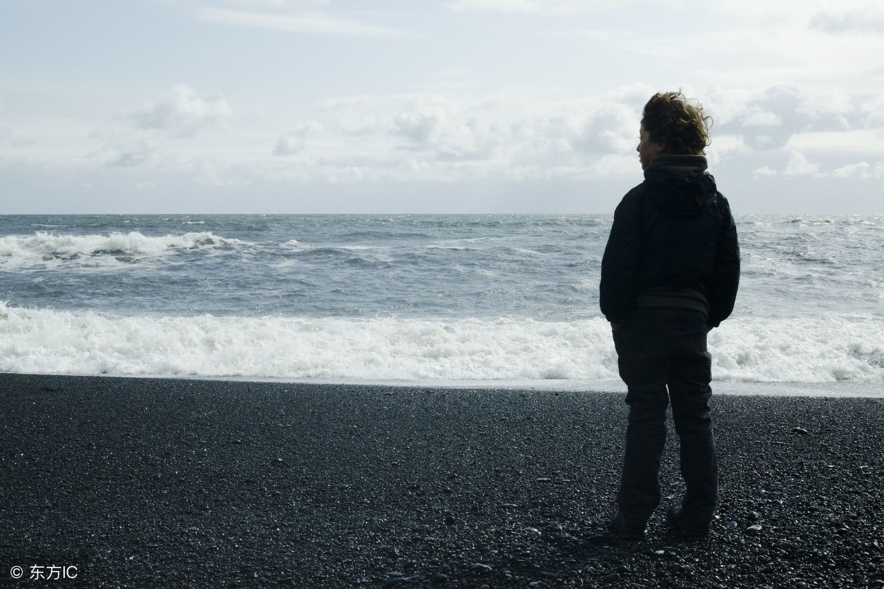 壁虎的知识有哪些,壁虎知识