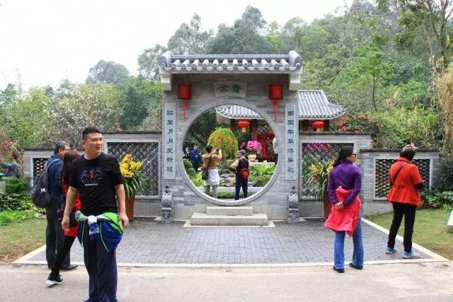 还没看的景点,大夫山最美景色