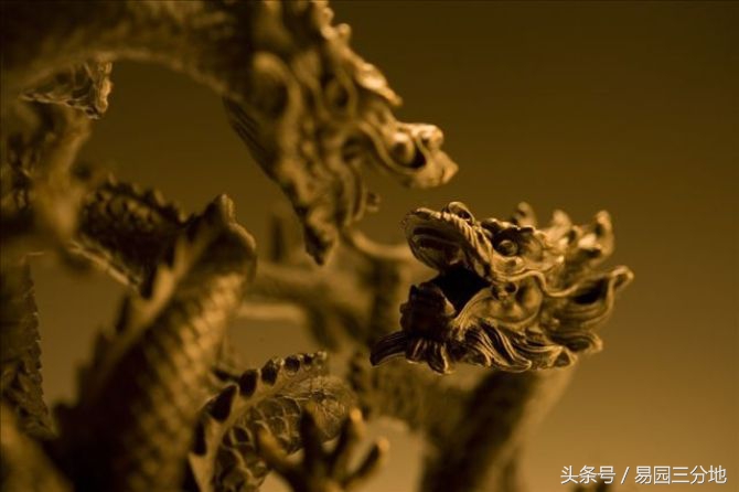 属龙的人性格属性,属龙的专属密码是什么