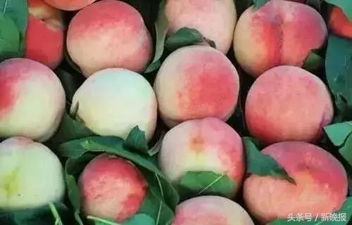 拿出纸笔，算算你能活多久！这可不是开玩笑……