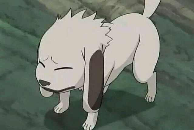 动漫中的那个可爱的狗,盘点狗狗的动画片