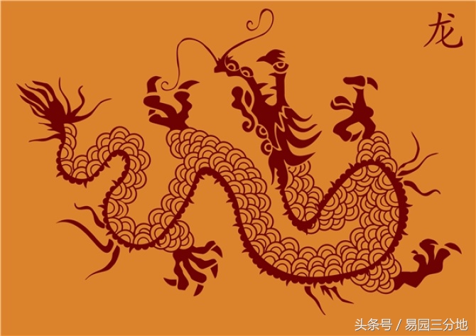 属龙的人性格属性,属龙的专属密码是什么