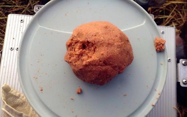 春天鲫鱼饵,春天钓鲫鱼鲤鱼如何配饵