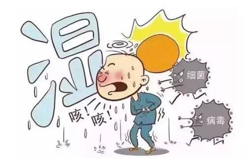 御膳厨房丨这一小碗汤汤水水祛湿效果显著,煮它千万别加米!