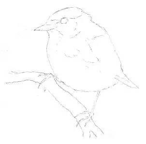 国画素描教程零基础入门,零基础学素描初学者入门教学