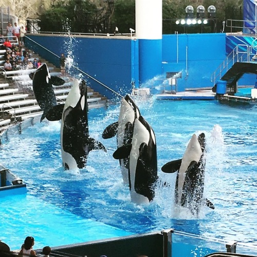 春天没能一起放风筝夏天一起看海,春天去不去旅游