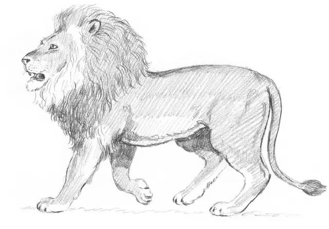 素描入门零基础教程动漫人物,素描入门零基础教程排线握笔