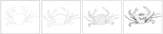 国画素描教程零基础入门,零基础学素描初学者入门教学