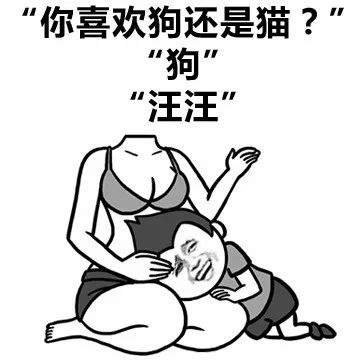 怎么跟喜欢的人表白表情包,表白撩人表情包合集确认过眼神