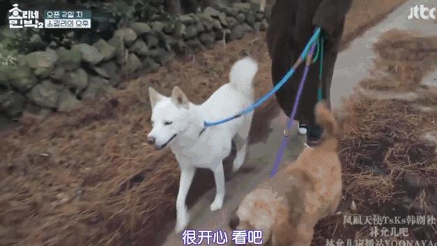 真正的孝利家民宿,慢节奏治愈风民宿