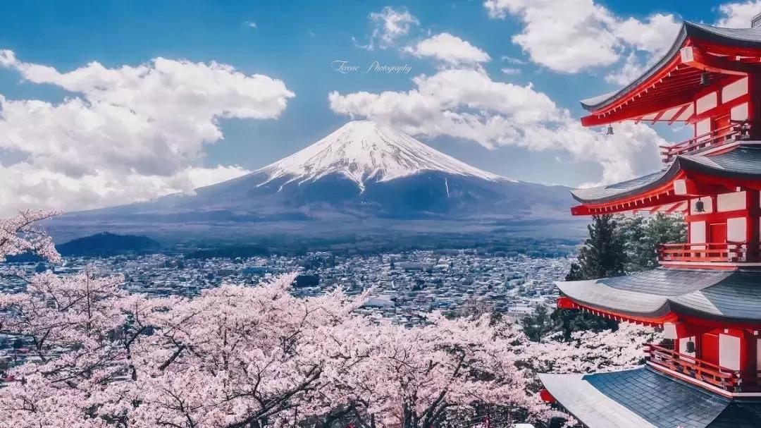 旅游签证被拒护照怎么刷白,旅游签证被拒签怎么办理护照