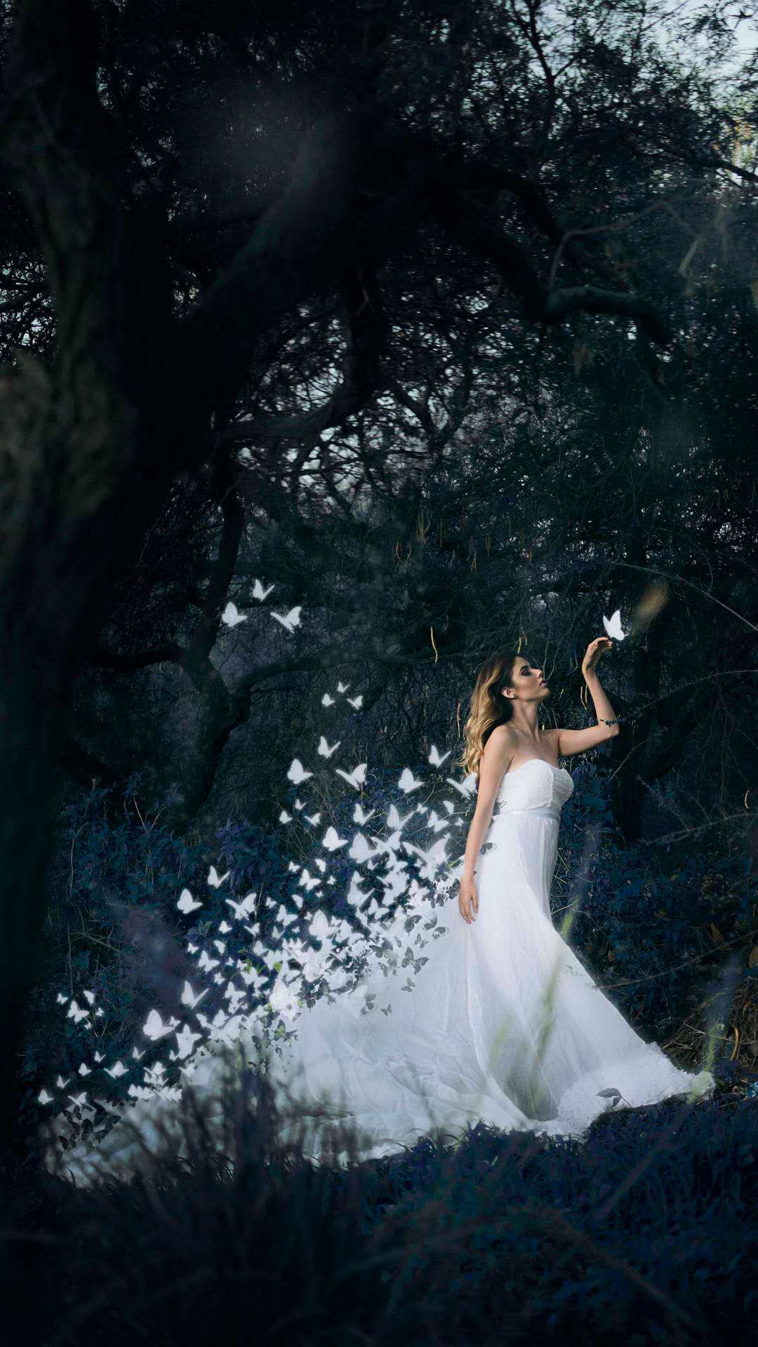 从来不曾想起却永远都不会忘记,我再也没有遇见你