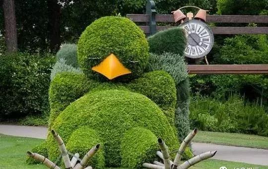 11月4，有群的都看看，太美了，这一辈子见一次值了！