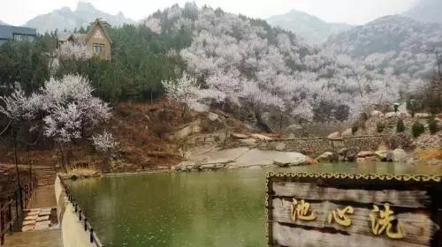 北京这38个森林公园您都去吗？先收藏了，有空咱们玩个遍！