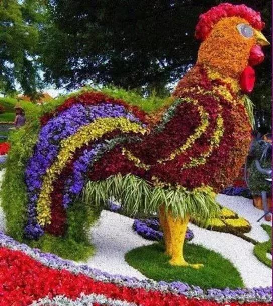 刚出的群主相册,有群的都看看,太美了,这一辈子见一次值了!