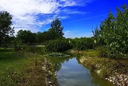 北京各区16处免费森林公园,北京最新40个公园