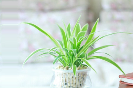 姘村煿鍗峰彾鍚婂叞,閲戦奔鍚婂叞姘村煿