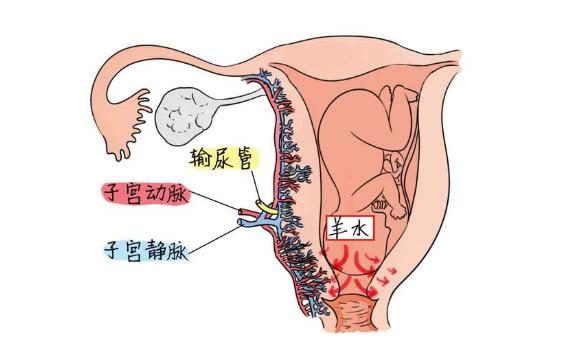 产后一小时,产妇产后几小时容易大出血