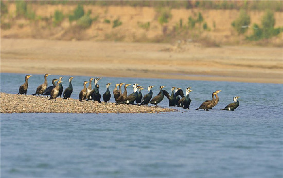 李纪恒：把大盈江和瑞丽江打造成国内外知名旅游目的地