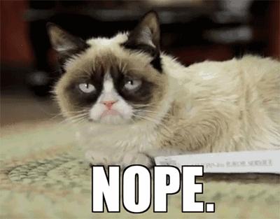 我家毛球最好抱了！不过该怎么抱？