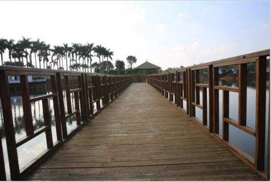 海南环岛骑行视频,海南环岛骑行驿站