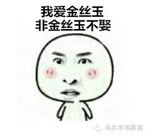 金丝玉是怎样的,金丝玉到底有没有价值啊