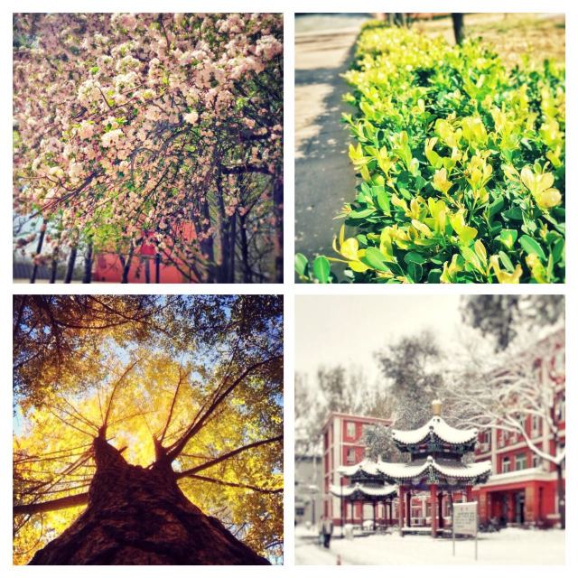 头条的中医国医高手是真的吗,北中医国医堂好中医