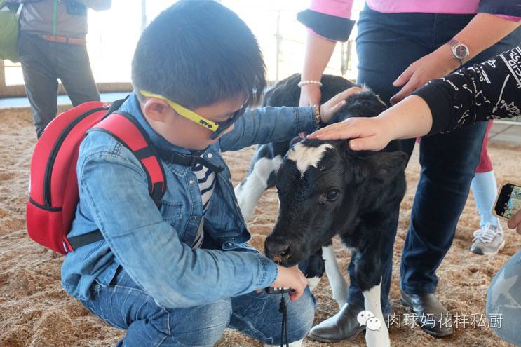 补钙长个子牛奶,长个补钙吃什么钙片最好