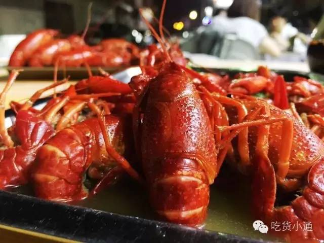 瀹佹尝璞″北缇庨蹇呭幓鐨勫崄瀹跺簵,瀹佹尝鍖椾粦缇庨蹇呭幓鐨勫崄瀹跺簵