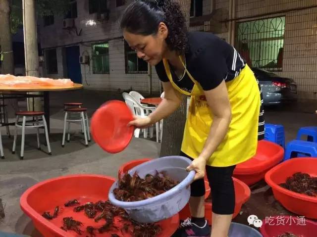 瀹佹尝璞″北缇庨蹇呭幓鐨勫崄瀹跺簵,瀹佹尝鍖椾粦缇庨蹇呭幓鐨勫崄瀹跺簵