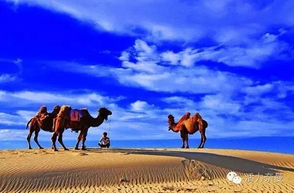 通辽奈曼宝古图沙漠,奈曼旗宝古图沙漠旅游视频