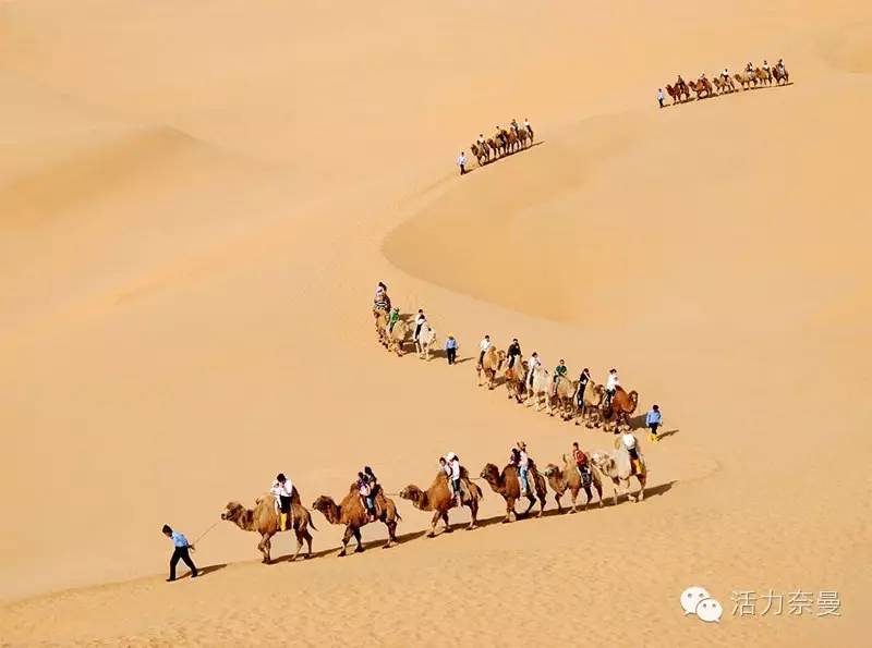 通辽奈曼宝古图沙漠,奈曼旗宝古图沙漠旅游视频