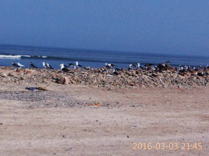 去巴西阿根廷秘鲁智利四国游,巴西阿根廷智利秘鲁地图