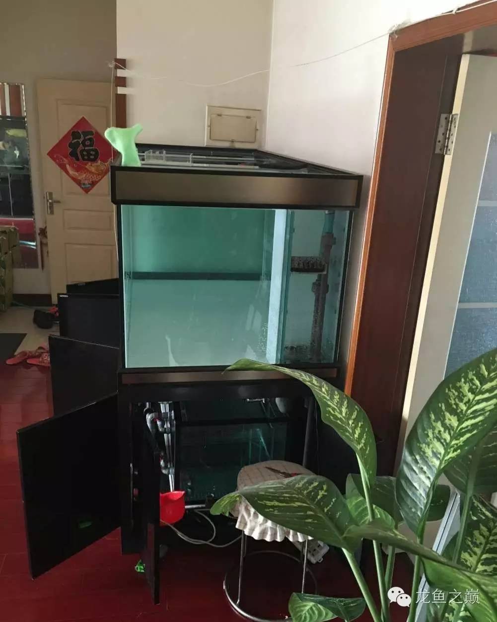 超级白，超会做，这才叫养鱼！