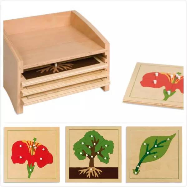 蒙特梭利幼儿园都有什么,为何要送孩子去蒙特梭利幼儿园