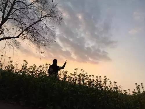 厦门避暑十大景点,厦门夏日避暑胜地推荐