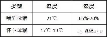 母猪产后应急解决方案,母猪产后流脓不吃食