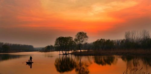 从A到Z，26个字母让你读懂微山湖红荷湿地